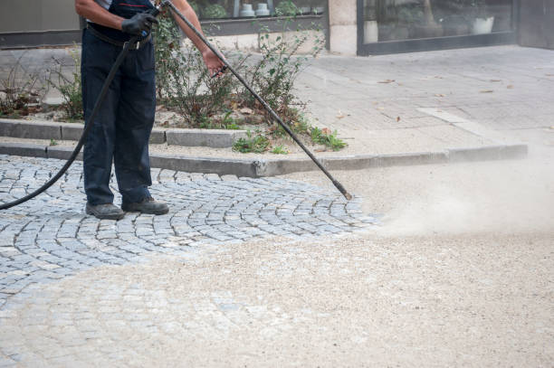 Animal Enclosure Cleaning in Baytown, TX